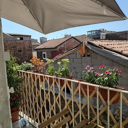 Guest house Carmen House *