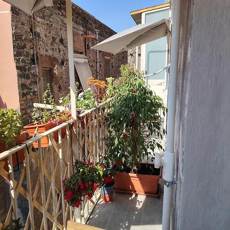 Carmen House