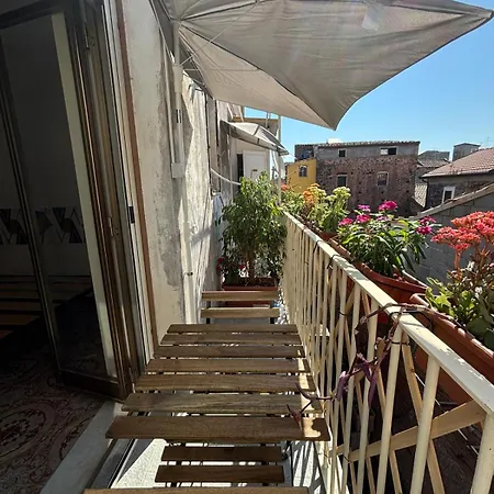 Carmen House Guest house
