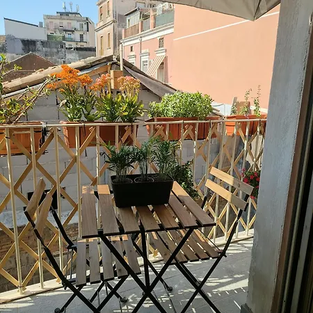 Carmen House