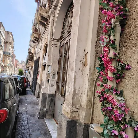 Carmen House Πανσιόν *
