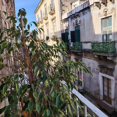 Πανσιόν Carmen House *