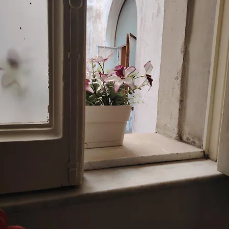 Πανσιόν Carmen House Κατάνια