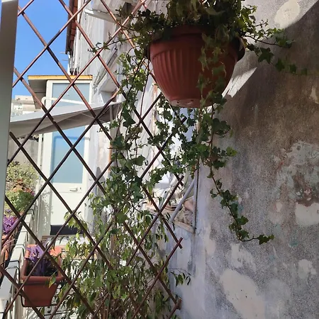 Carmen House *