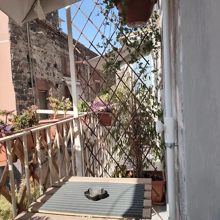 Penzion Carmen House