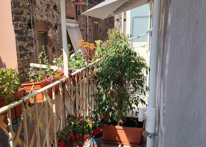 Carmen House