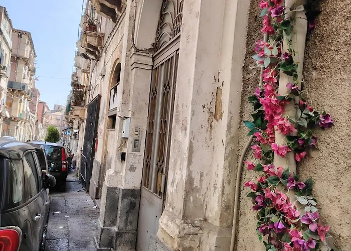 Carmen House Πανσιόν 4*