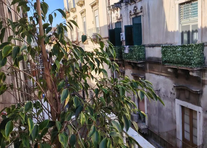 Πανσιόν Carmen House 4*