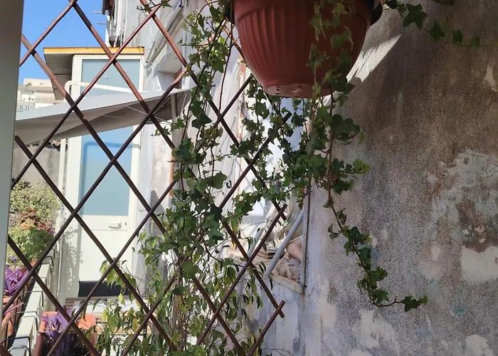 Carmen House 4*
