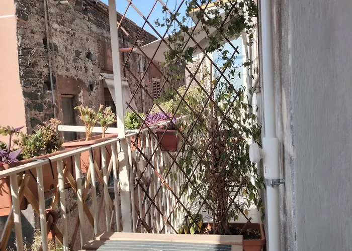 Πανσιόν Carmen House